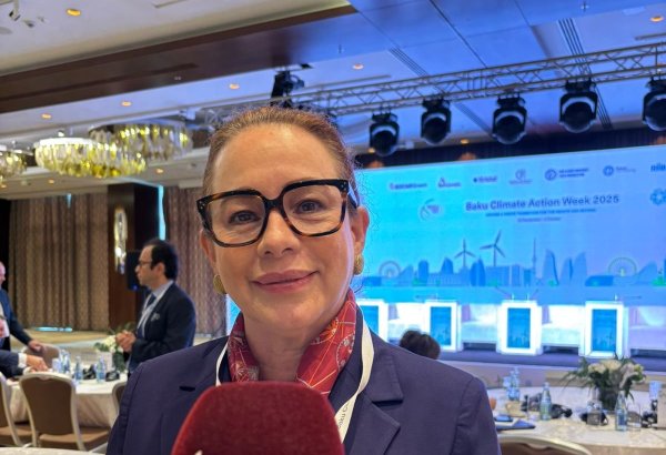 Azərbaycan iqlim gündəliyində öz liderliyini sübut edib - BMT baş assambleyasının keçmiş prezidenti