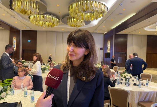 Nəqliyyat və energetika iqlim siyasətinin prioritetlərinə çevrilməlidir - Vladanka Andreyeva