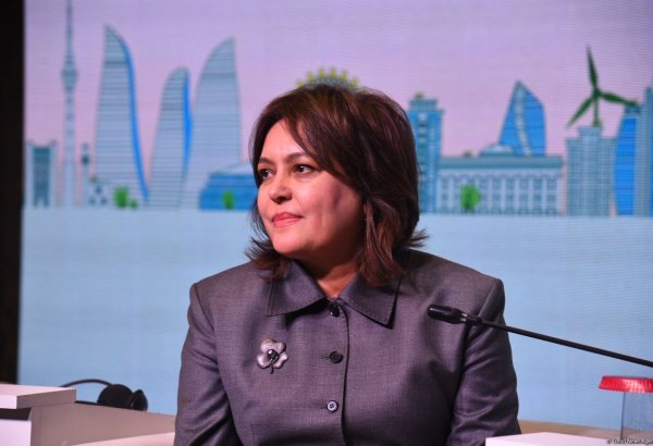 Azərbaycan Qarabağ və Şərqi Zəngəzur üçün kompleks iqlim dayanıqlığı strategiyasını hazırlayır