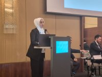 Bakıda Türk Dövlətləri Təşkilatı ilə bağlı konfrans keçirilib (FOTO) (YENİLƏNİB)