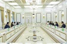 Sahibə Qafarova Türkiyənin İnsan Hüquqları və Bərabərlik Qurumunun sədri ilə görüşüb (FOTO)