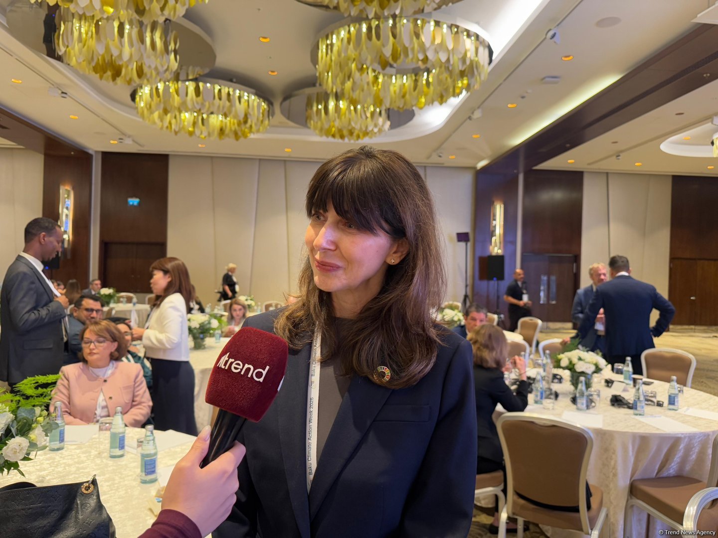 Nəqliyyat və energetika iqlim siyasətinin prioritetlərinə çevrilməlidir - Vladanka Andreyeva