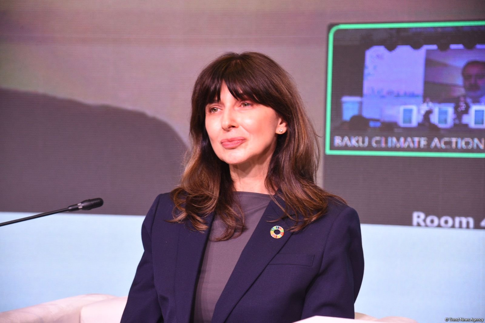 Azərbaycan və BMT iqlim üzrə tərəfdaşlığın yeni çərçivə proqramını hazırlayır