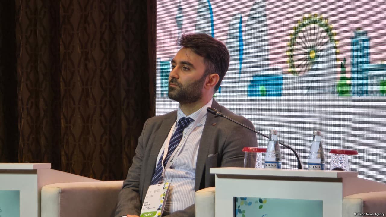 Azərbaycan 2040-cı ilədək 4 QVt bərpa olunan enerjinin ixracını planlaşdırır - "SOCAR Green"