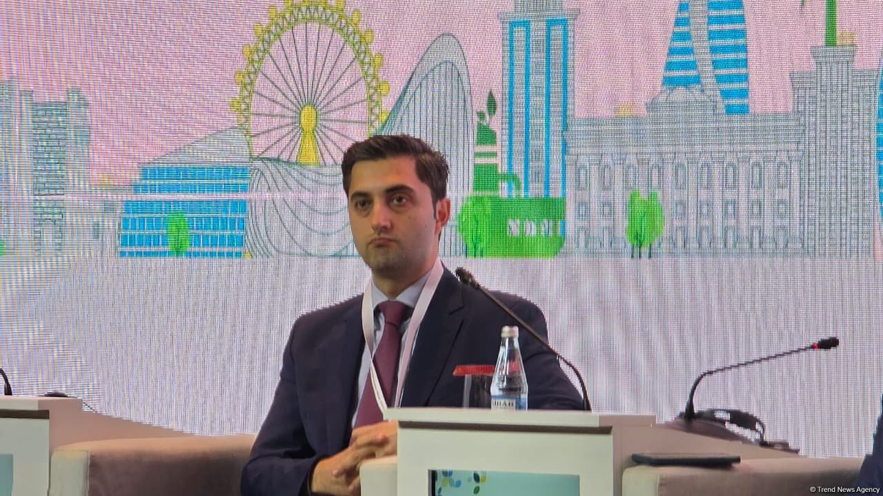 "SOCAR Green" enerji layihələrində beynəlxalq maliyyə institutlarının dəstəyini vacib sayır