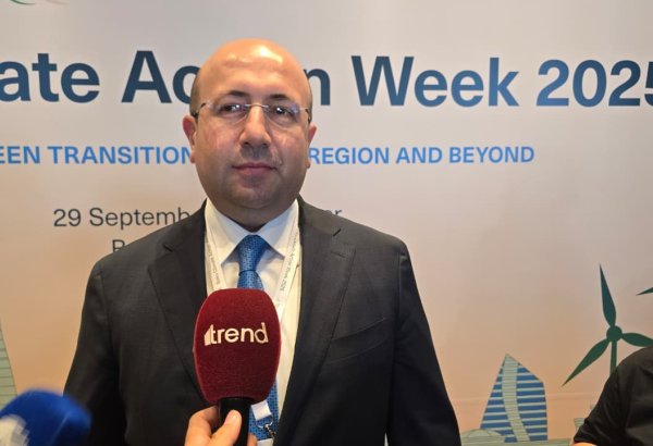 Dünyada 3 milyarda yaxın insan layiq olduğu evlə təmin olunmayıb - Komitə sədri