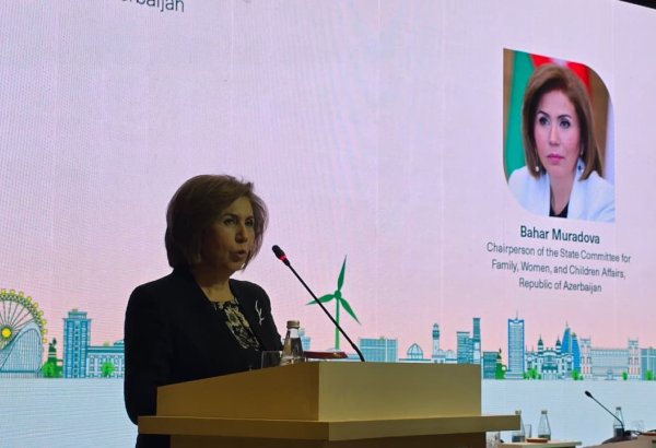 Son 5 ildə 10 minlərlə qadın sahibkarlıq təşəbbüslərinə dəstək alıb - Bahar Muradova