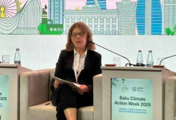 AYİB Gəncədə "Yaşıl şəhər" təşəbbüsü çərçivəsində dəstək göstərir