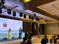 Bakı İqlim Fəaliyyəti Həftəsinin 3-cü günü start götürüb (FOTO)