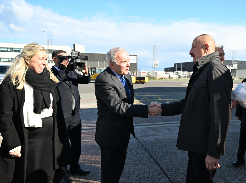 Prezident İlham Əliyev Danimarkaya işgüzar səfərə gəlib (FOTO)