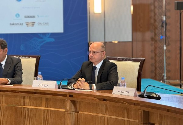 Transxəzər Yaşıl Enerji Dəhlizi Orta Dəhlizin yaşıl körpü qismində inkişafına geniş imkanlar açır - Energetika naziri (FOTO)