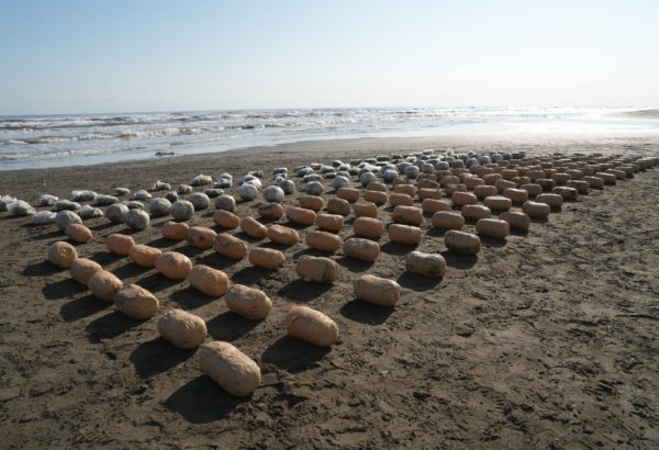 Xəzər dənizi vasitəsilə Azərbaycana külli miqdarda narkotikin keçirilməsinin qarşısı alınıb