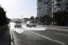 Bakıda növbəti təmizlik işləri aparılıb, yaşıllıqlara qulluq göstərilib (FOTO)