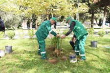 Bakıda növbəti təmizlik işləri aparılıb, yaşıllıqlara qulluq göstərilib (FOTO)