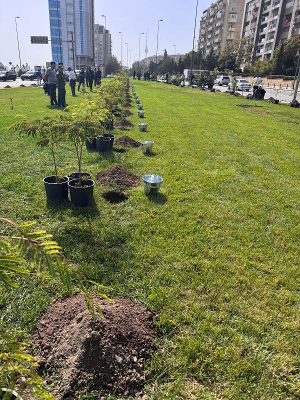 Bakıda növbəti təmizlik işləri aparılıb, yaşıllıqlara qulluq göstərilib (FOTO)