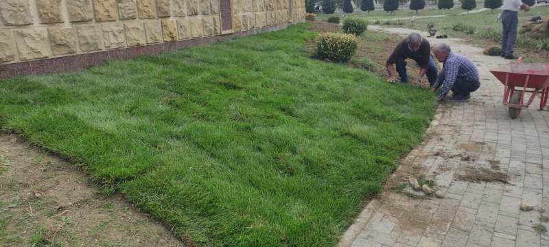 Bakıda növbəti təmizlik işləri aparılıb, yaşıllıqlara qulluq göstərilib (FOTO)