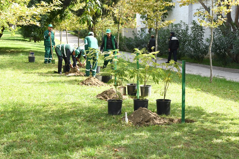 Bakıda növbəti təmizlik işləri aparılıb, yaşıllıqlara qulluq göstərilib (FOTO)