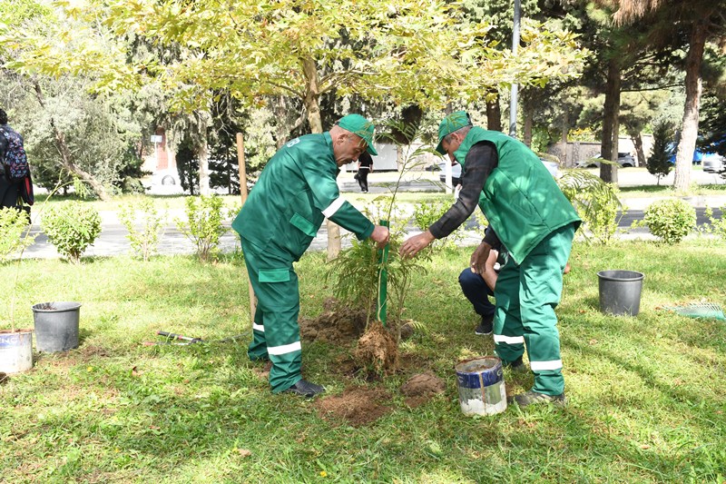 Bakıda növbəti təmizlik işləri aparılıb, yaşıllıqlara qulluq göstərilib (FOTO)