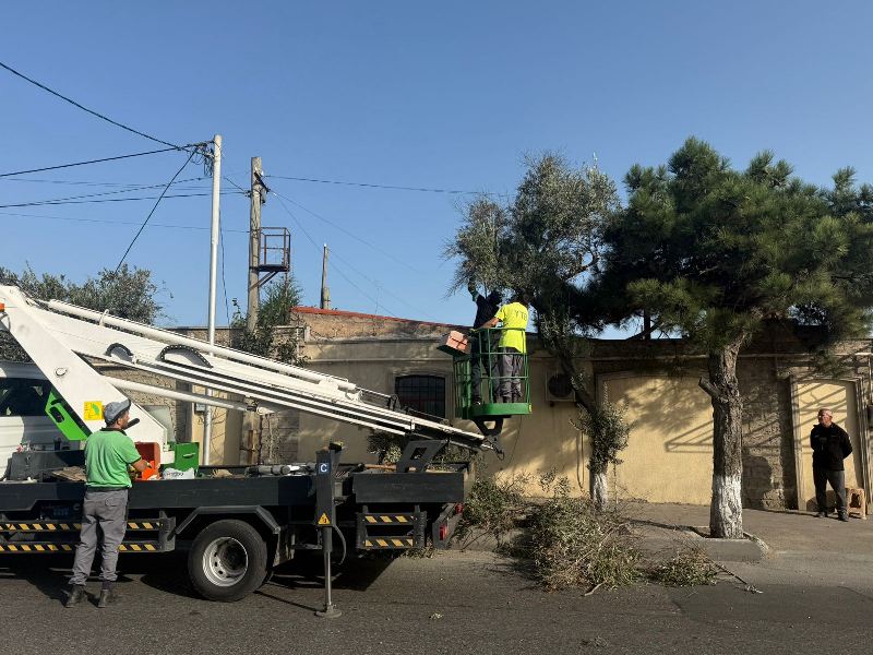 Bakıda növbəti təmizlik işləri aparılıb, yaşıllıqlara qulluq göstərilib (FOTO)