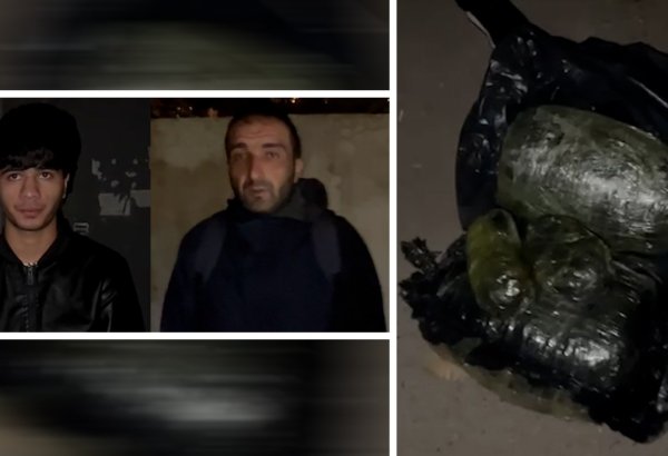 Nəsimi rayonunda 7 kq narkotik vasitə dövriyyədən çıxarıldı