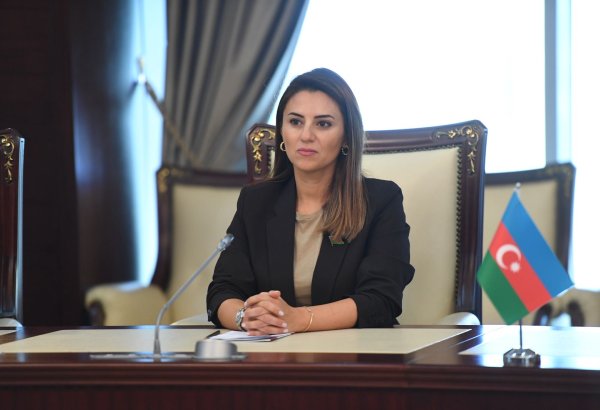 Azərbaycan regional sabitliyin möhkəmlənməsinə və beynəlxalq əməkdaşlığın inkişafına töhfə verən aktordur – Sevinc Fətəliyeva