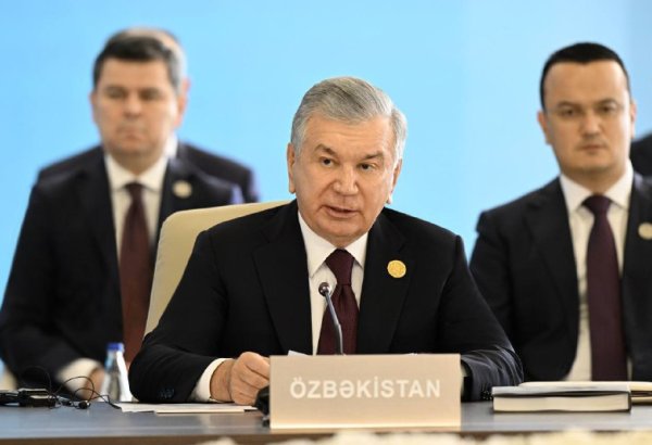 Özbəkistan Türk İnvestisiya Fondunun genişləndirilməsini dəstəkləyir - Şavkat Mirziyoyev