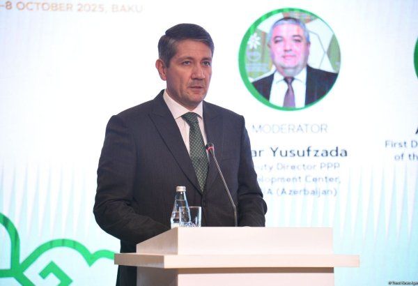 Anar Kərimova yeni vəzifə verildi