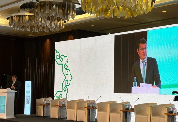 Nazir müavini 20 il ərzində Azərbaycan iqtisadiyyatına qoyulmuş xarici investisiyalar barədə məlumatları ictimailəşdirib
