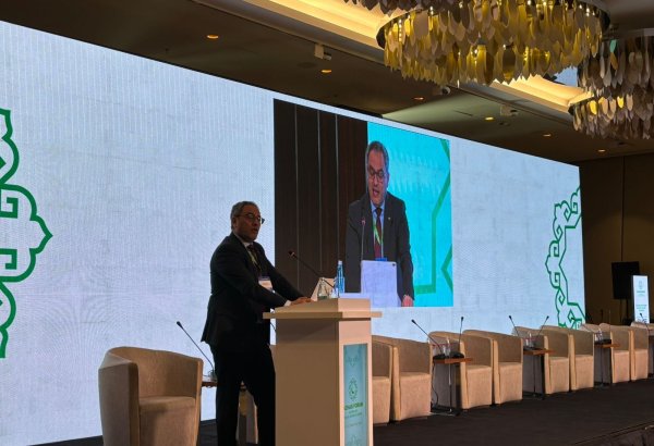 2027-ci ilə qədər halal məhsullara çəkilən ümumi xərclər 3 trilyon dollara çatacaq