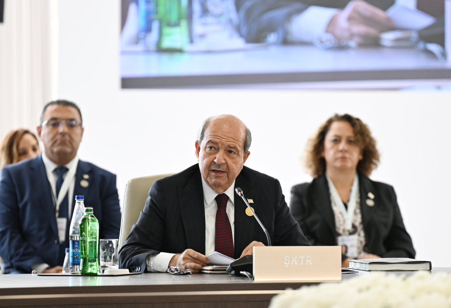 Türk dövlətləri bölgənin sülh və sabitliyini təmin edən ən güclü zəmanətdir – Ersin Tatar