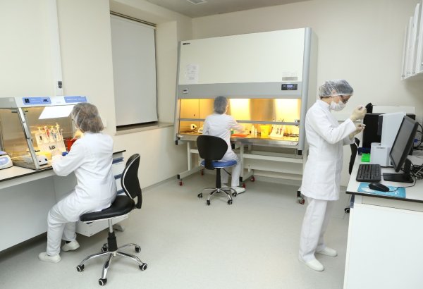 Bakıda sakinlər ən çox nədən zəhərlənir?