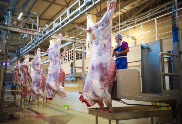 İlk 9 ayda nöqsan aşkarlanan ət kəsimi məntəqələrinin sayı AÇIQLANDI