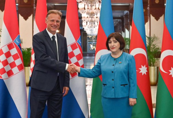 Sahibə Qafarova Xorvatiya parlamentinin sədri ilə görüşüb (FOTO)