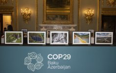 Heydər Əliyev Fondunun vitse-prezidenti Leyla Əliyeva Londonda yüksəksəviyyəli iqlim dialoqunda iştirak edib (FOTO)