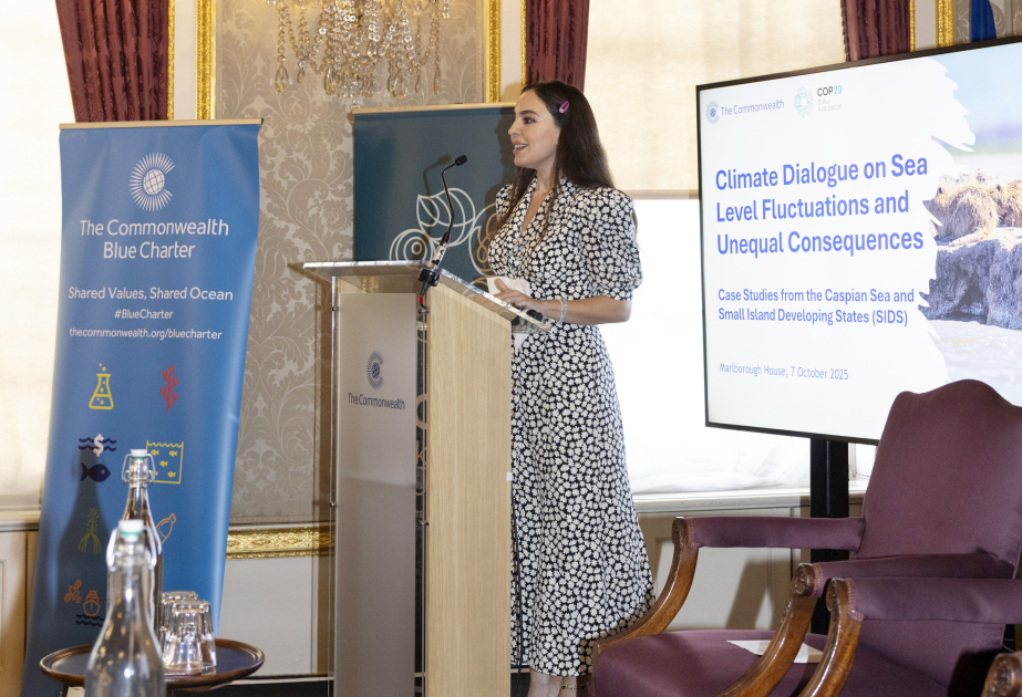 Heydər Əliyev Fondunun vitse-prezidenti Leyla Əliyeva Londonda yüksəksəviyyəli iqlim dialoqunda iştirak edib (FOTO)