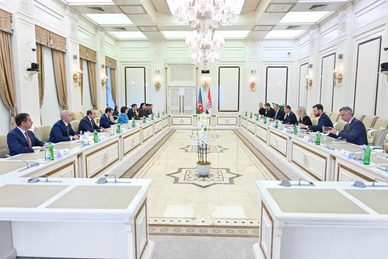 Sahibə Qafarova Xorvatiya parlamentinin sədri ilə görüşüb (FOTO)