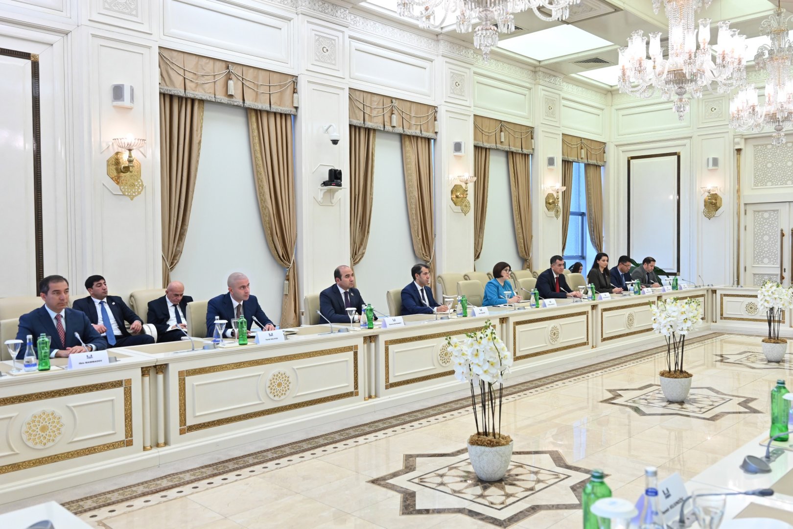 Sahibə Qafarova Xorvatiya parlamentinin sədri ilə görüşüb (FOTO)