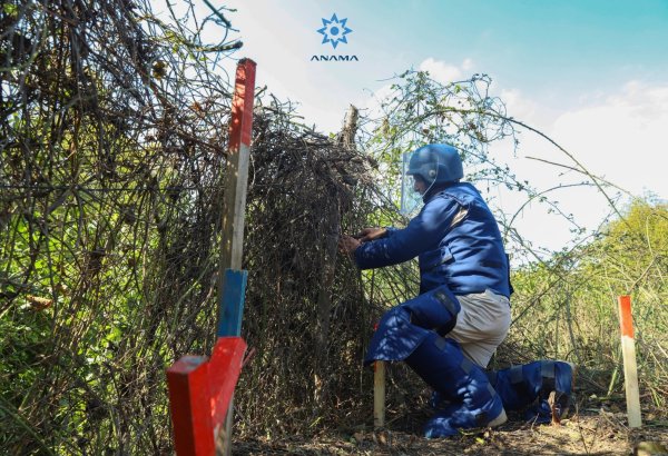 Xocavənddə MON-50 piyada əleyhinə mina aşkar edilib