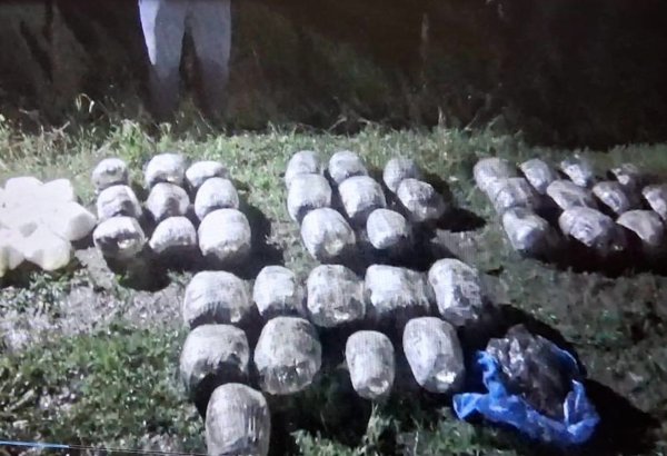 DİN BNMİ Astarada əməliyyat keçirdi - 55 kq narkotik vasitə aşkarlandı (FOTO)