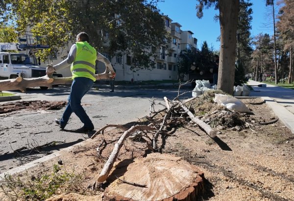 Gəncədə güclü külək yolun bağlanmasına səbəb olub (FOTO)