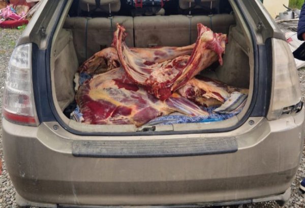 “Toyota Prius”da 92 kq mənşəyi məlum olmayan ət aşkarlanıb