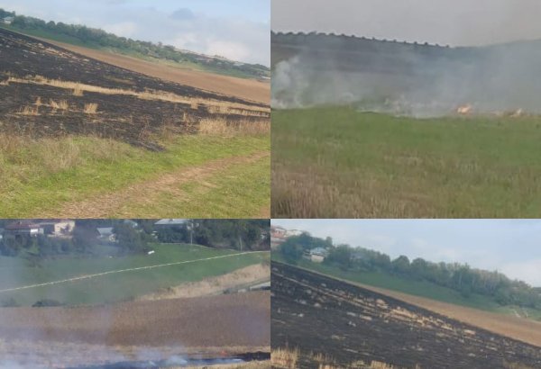 Qusarda əkin sahələrini yandıran şəxslər məsuliyyətə cəlb olunub