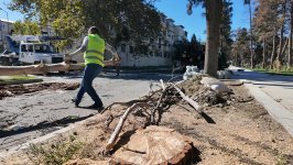 Gəncədə güclü külək yolun bağlanmasına səbəb olub (FOTO)