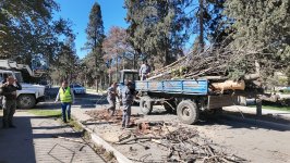 Gəncədə güclü külək yolun bağlanmasına səbəb olub (FOTO)