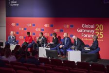 Zəngəzur dəhlizi bölgə üçün həyati əhəmiyyət daşıyır - Rəşad Nəbiyev (FOTO)