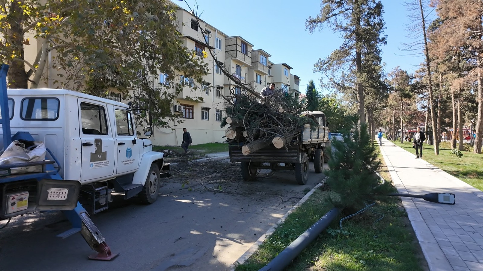 Gəncədə güclü külək yolun bağlanmasına səbəb olub (FOTO)