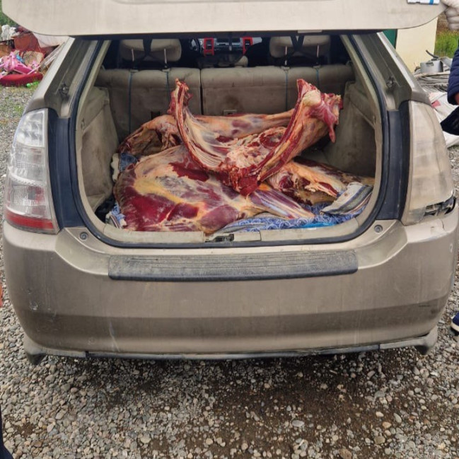 “Toyota Prius”da 92 kq mənşəyi məlum olmayan ət aşkarlanıb