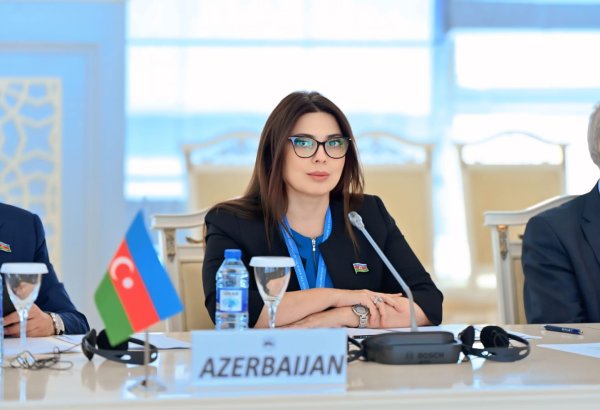 Düşənbədəki toplantı Azərbaycanın regional siyasətdə əməkdaşlıq prinsiplərinə sadiqliyini nümayiş etdirdi – Deputat