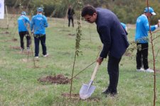 Xocalının Ballıca kəndində badam ağacları əkilib - FOTO