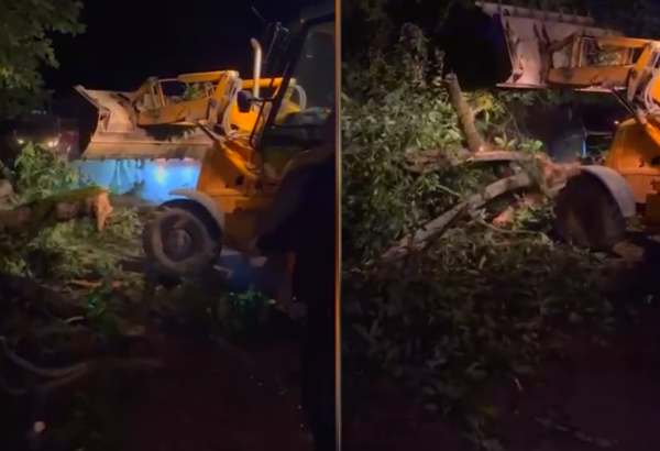 Lənkəran-Lerik yolunda hərəkət bərpa olunub (VİDEO)